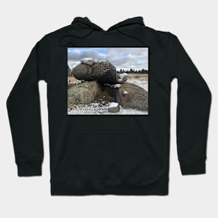 Montana Dolmen Hoodie